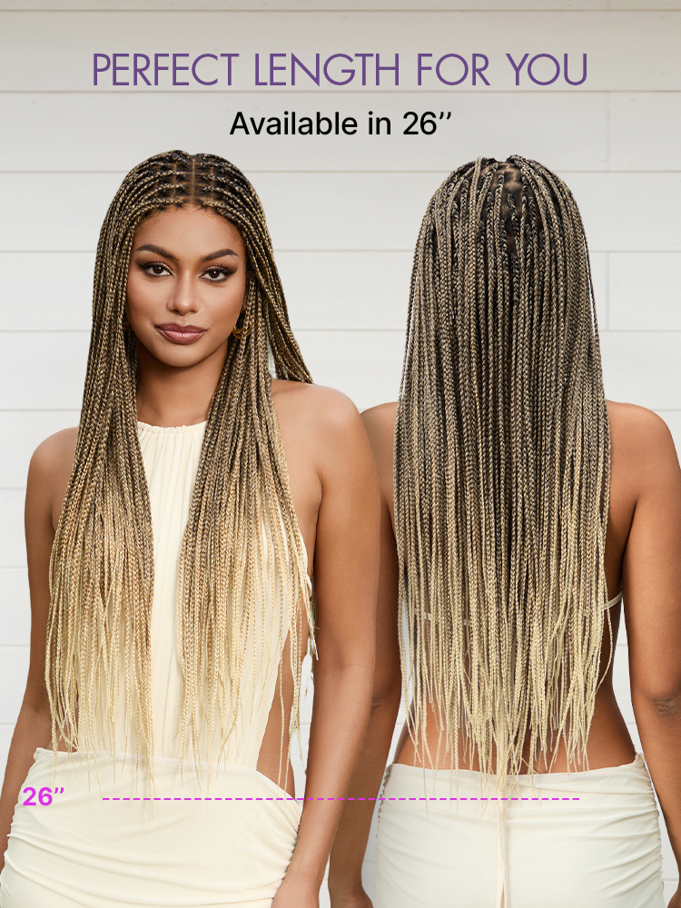 🔥Last Day:81% Off🔥Salon Braids HD Lace Knotless Wig